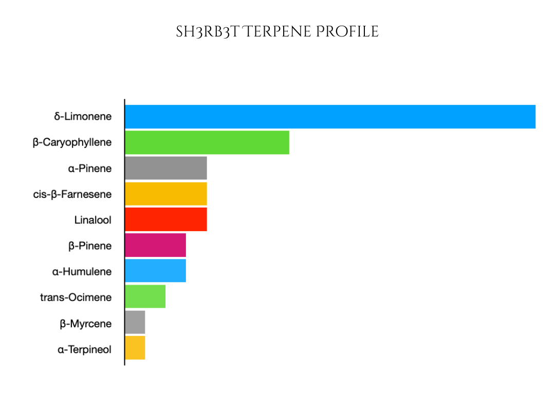 Sh3rb3rt – Team Elite Genetics
