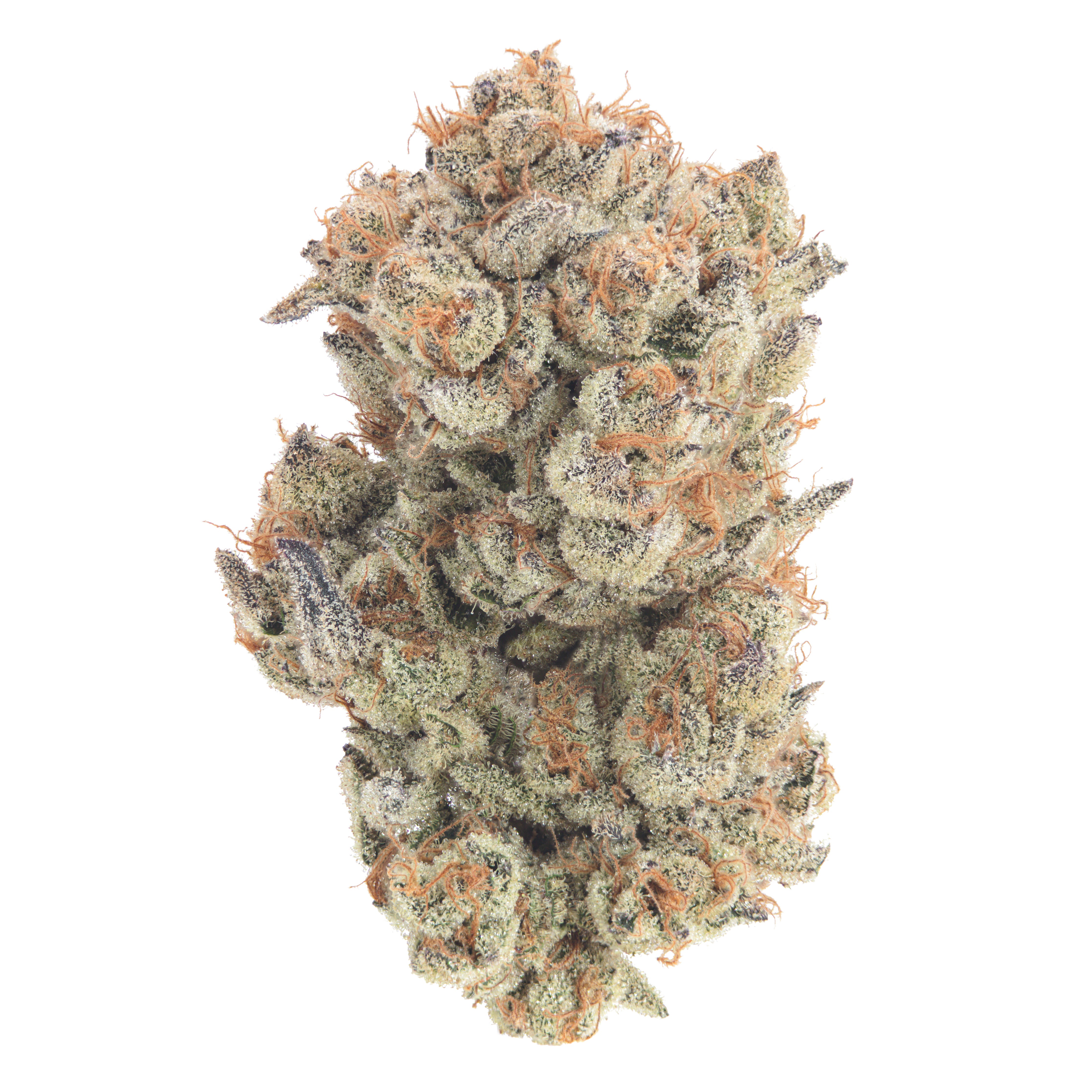 07GarbageIsland-White-2_4472x.