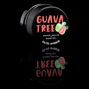 Guava Tree Cold Cure Live Rosin Badder