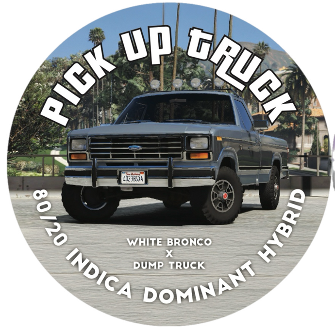 Pick-up Truck Cold Cure Live Rosin Badder