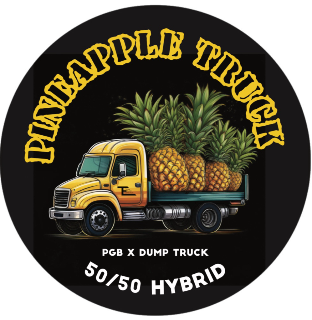 Pineapple Truck Cold Cure Live Rosin Badder