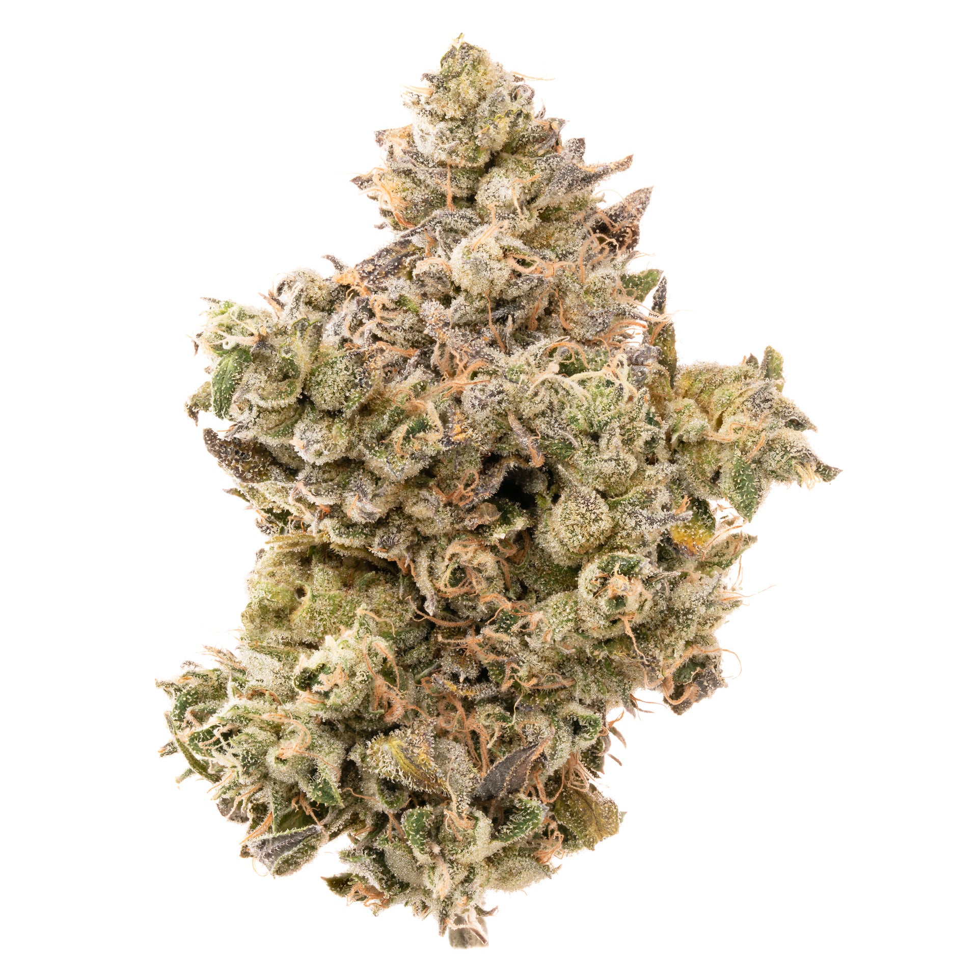 SHERBETS「SIBERIA」 SHERBETS ALBUM - 浅井健一｜SEXY STONES RECORDS