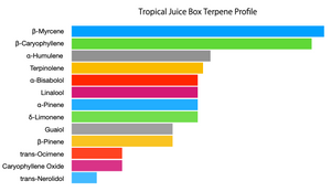 Tropical Juice Box