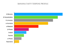 Load image into Gallery viewer, Banana Taffy