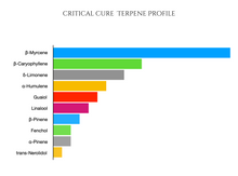 Load image into Gallery viewer, Critical Cure (CBD)