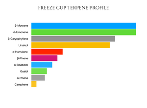 Freeze Cup